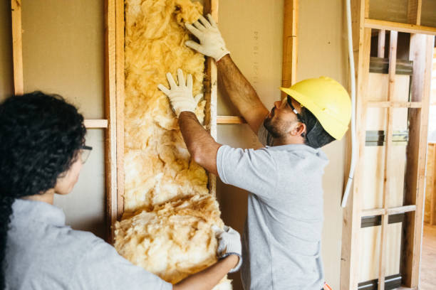 Best Insulation for New Construction  in Bradford, TN